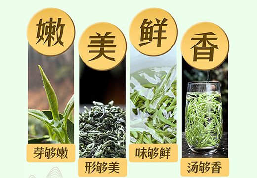春天摘茶忙，集木空气能热泵烘干机让春茶生产加工更简易[集木烘干]