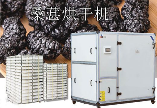 桑葚烘干机如何脱颖而出，为商品提升价值？【广州集木】