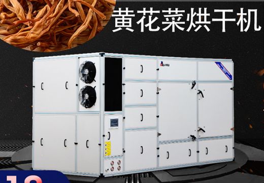 近几年频繁占据市场的黄花菜烘干机为啥这么火？【广州集木】