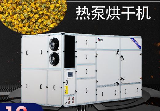 熬夜喝什么好？热泵烘干机处理的菊花怎么样？【广州集木】