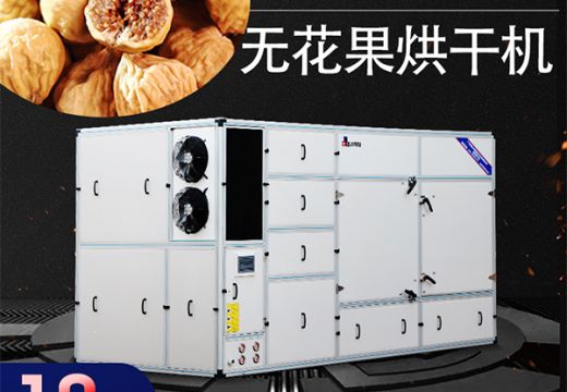 小糖包”无花果烘干机方法该选择整个烘干还是切片烘干好【广州集木】