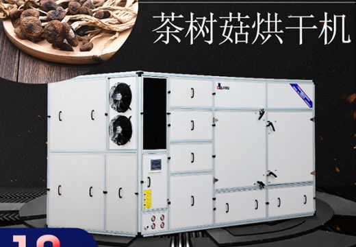 茶树菇烘干机工艺介绍【广州集木】