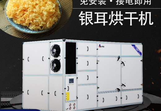 干银耳和鲜银耳的区别，银耳烘干机能够更有效的干燥【广州集木】
