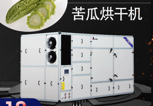 别再排斥苦瓜，苦瓜烘干机干制的苦瓜值得一试【广州集木】
