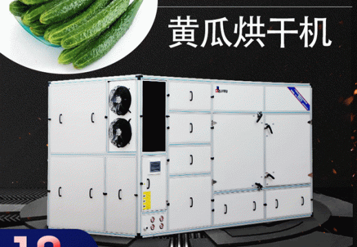 黄瓜烘干机烘出来的黄瓜居然有这种功效？【广州集木】