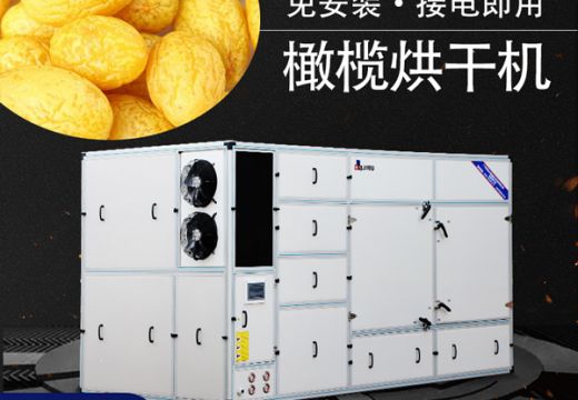 橄榄果有助于睡眠，橄榄烘干机干燥更加便捷【广州集木】
