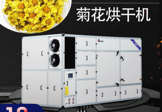 菊花烘干机为何如此抢手？【广州集木】