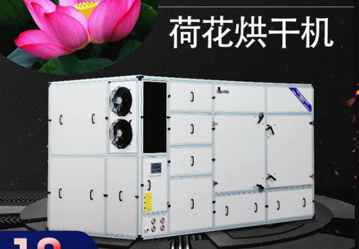 荷花烘干难选择？选对荷花烘干机一键搞定【广州集木】