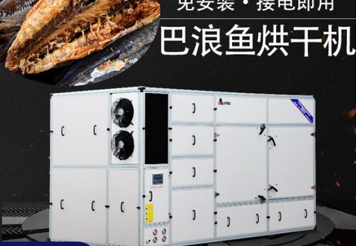 巴浪鱼一出水就死怎么办？巴浪鱼烘干机帮你解决【广州集木】