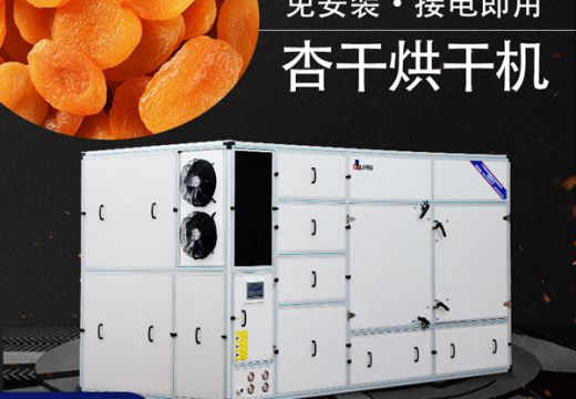 杏干烘干机全新干燥工艺【广州集木】