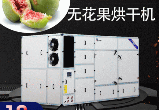 对于不耐放的水果无花果烘干机是非常好的储存方法【广州集木】