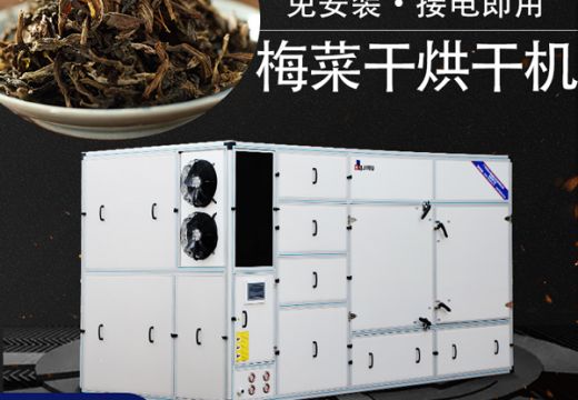 梅菜干烘干机烘制优质梅菜干【广州集木】