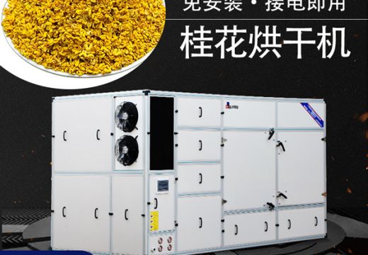 桂花烘干不变色的方法不靠天晒，使用桂花烘干机干燥色泽好【广州集木】 