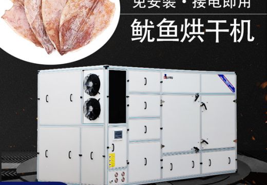 四季常销的鱿鱼都在使用鱿鱼烘干机【广州集木】