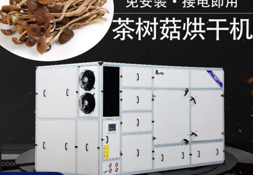 茶树菇烘干机制干技术性与烘干工艺息息相关【广州集木】