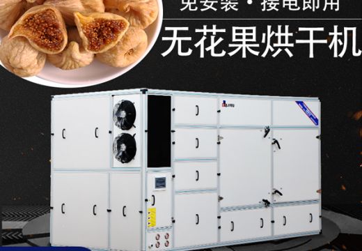 广州集木无花果烘干机自主研发，品质有保障【广州集木】