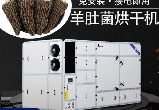 选对羊肚菌烘干机很重要【广州集木】