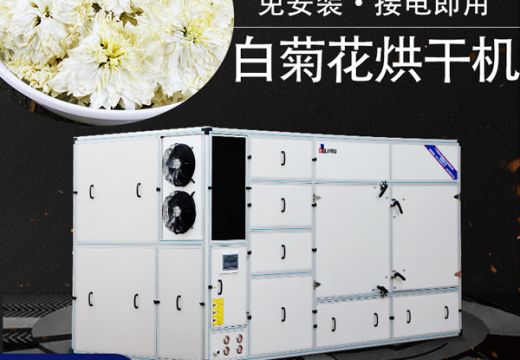 选择白菊花烘干机留意这几个方面【广州集木】